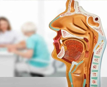 Otorhinolaryngology (ENT)